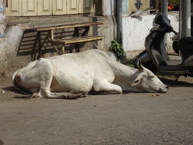 Vijayawada